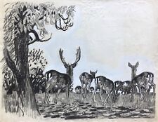 Impressionist Karl Adser 1912-1995 Tierstudie Dammwild Natur Jagd Hirsch 50 x 64