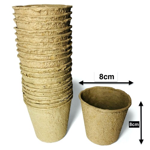 Anzuchttöpfe 8 cm - 6, /