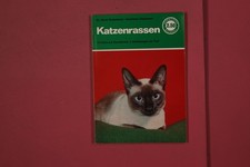 334125 Horst Rodenbeck KATZENRASSEN Albrecht Philler Verlag Ihre Haltung, Zucht