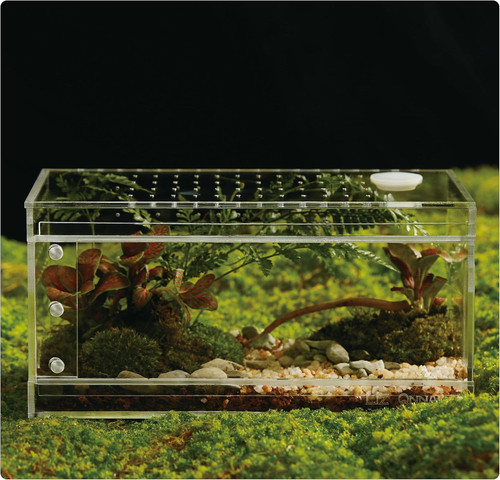 Acrylic terrarium for reptiles - acrylic,