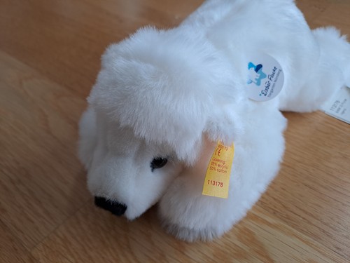 Eisbär flocke tiergarten - eisbär,