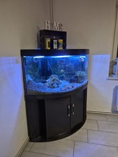 Eck Aquarium Komplett mit