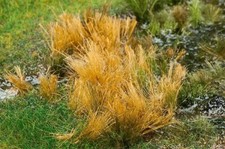 Faller 170715 - 1/87 / H0