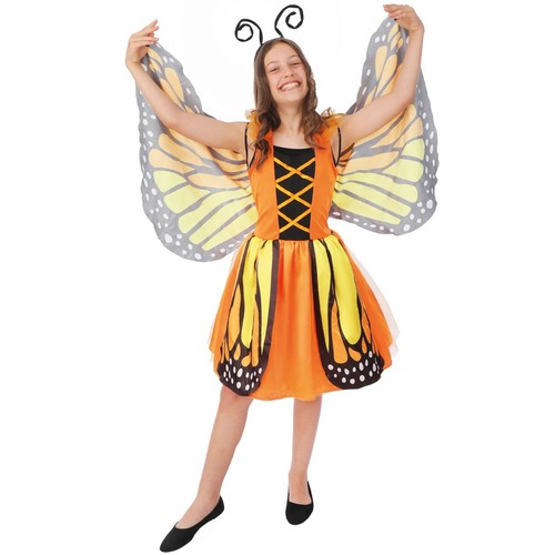 Schmetterling kostüm kinder - kostüm,
