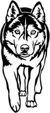 SIBERIAN HUSKY Aufkleber -