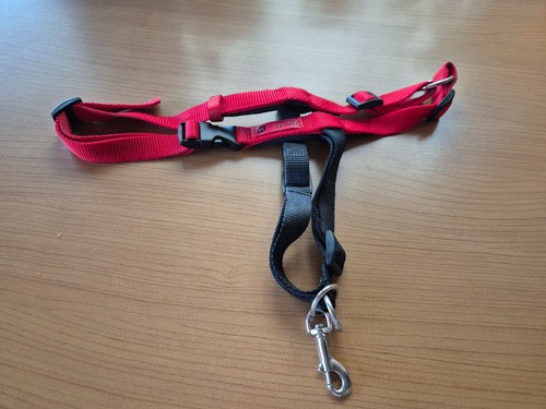 Halti harness - halti,