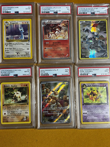 Pokémon tcg psa slabs - pokémon,