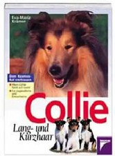 Collie