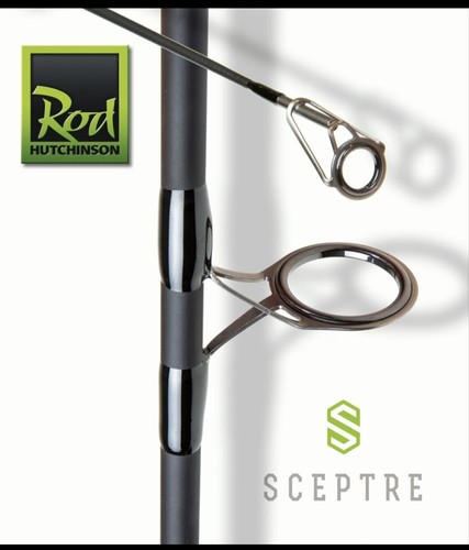 Rod hutchinson sceptre carp - hutchinson,