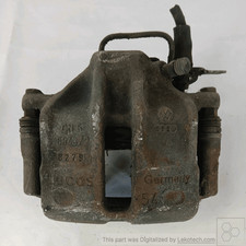 Aufsteigender Sosp. Ameise