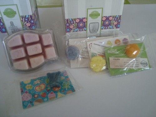 Scentsy elektrische mini - -,