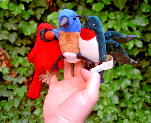 Vogel fingerpuppe stofftier - vogel,