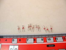 10x Steck-Allglas-Glühlampe