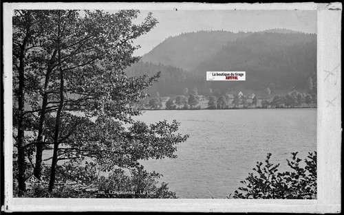 Foto glasplatte negativ - foto,