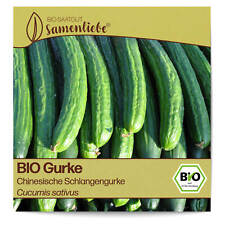 BIO Gurken Samen Chinesische