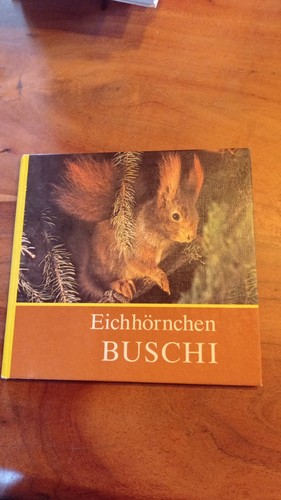 Eichhörnchen buschi - eichhörnchen,