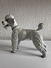 Sammler Porzellan Figur Pudel von Rosenthal Porzellanfigur