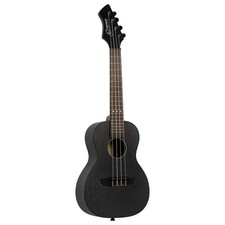 Ortega Guitars Akustikkonzert