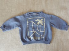 ZARA Baby Sweatshirt Gr. 86 = 12 - 18 M - Junge - Pullover - Hellblau