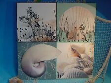 XXL Bild maritim mit Muscheln