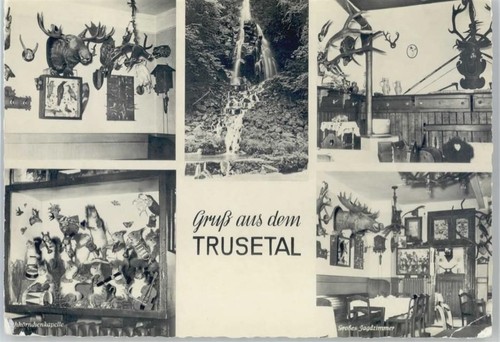98596 o6089 trusetal - trusetal,