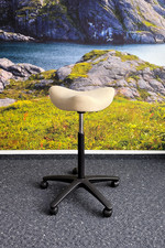 Varier Move Stuhl Sattelhocker