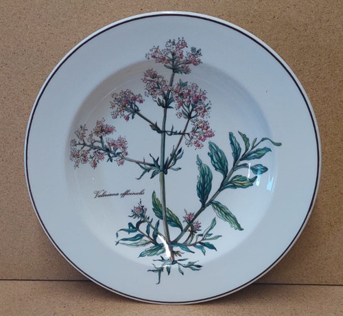 Botanica villeroy boch - &,