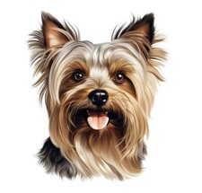 Designer Aufkleber / Sticker -