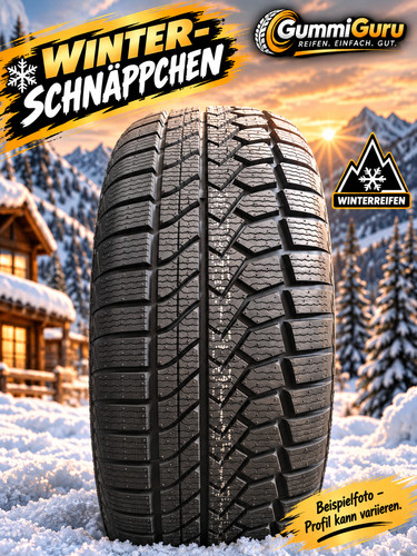 225 r17 94v xl - 1x,