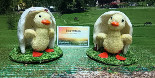 Stück osterküken - 12,