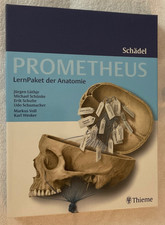 Prometheus Lernpaket Schädel