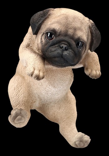 Mops welpen figur als - welpen,