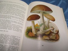 Hennig , Taschenbuch für