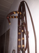 Westerntrense mit Zügeln, Shanksnaffel und Vorderzeug