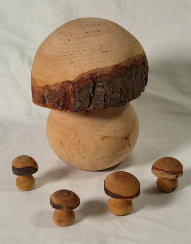 Schönes teiliges set - schönes, 5-teiliges