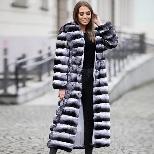 Chinchilla farbe lange - chinchilla,