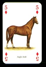 1 x Spielkarte: Anglo Araber
