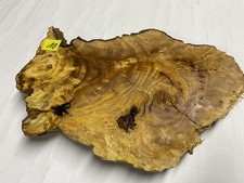 Olivenholz - Stamm -