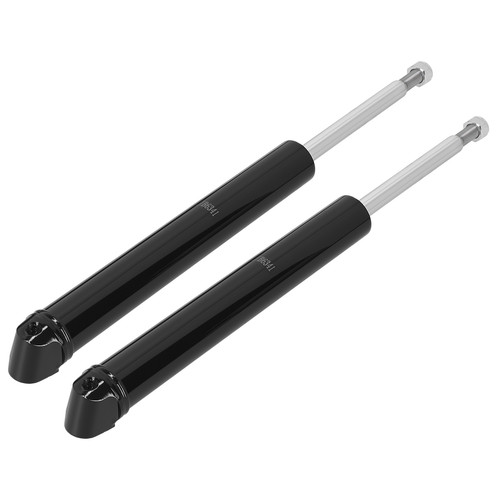 Stossdämpfer vorne for - 2x,