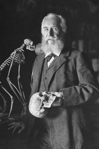 Ernst haeckel deutscher - ernst, haeckel,