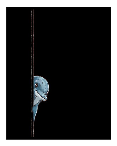 Verspielte delfin wandkunst - verspielte, delfin-wandkunst