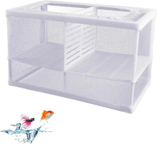 Aquarium ablaichkasten fisch - aquarium,