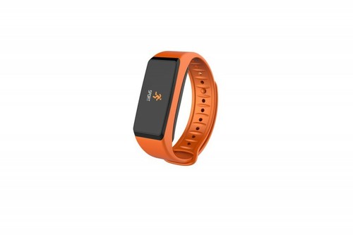 Mykronoz zefit2 pulse - zefit2, activity
