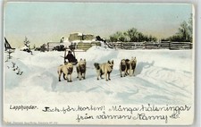 10012111 - Lapphunde Hundeschlitten 1900