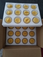 24 Bienenwachs-Teelichter im