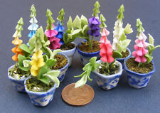 Puppenhaus Fingerhut im