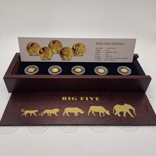 100 francs big five - x,