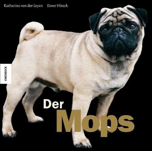 Der mops ein wunder - wunder,
