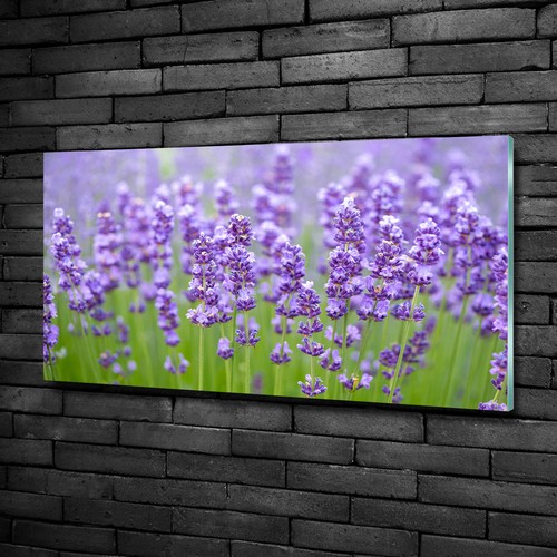Glas bild wandbilder - glas-bild,
