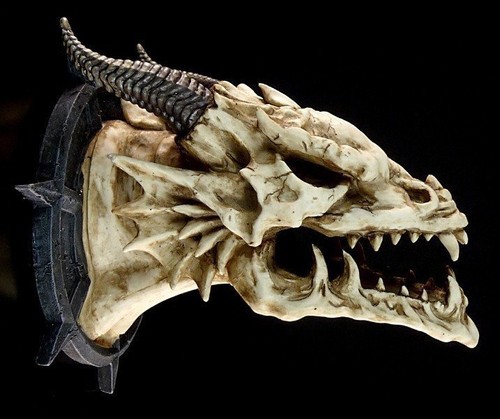 Drachen kopf jabberwocky - kopf,